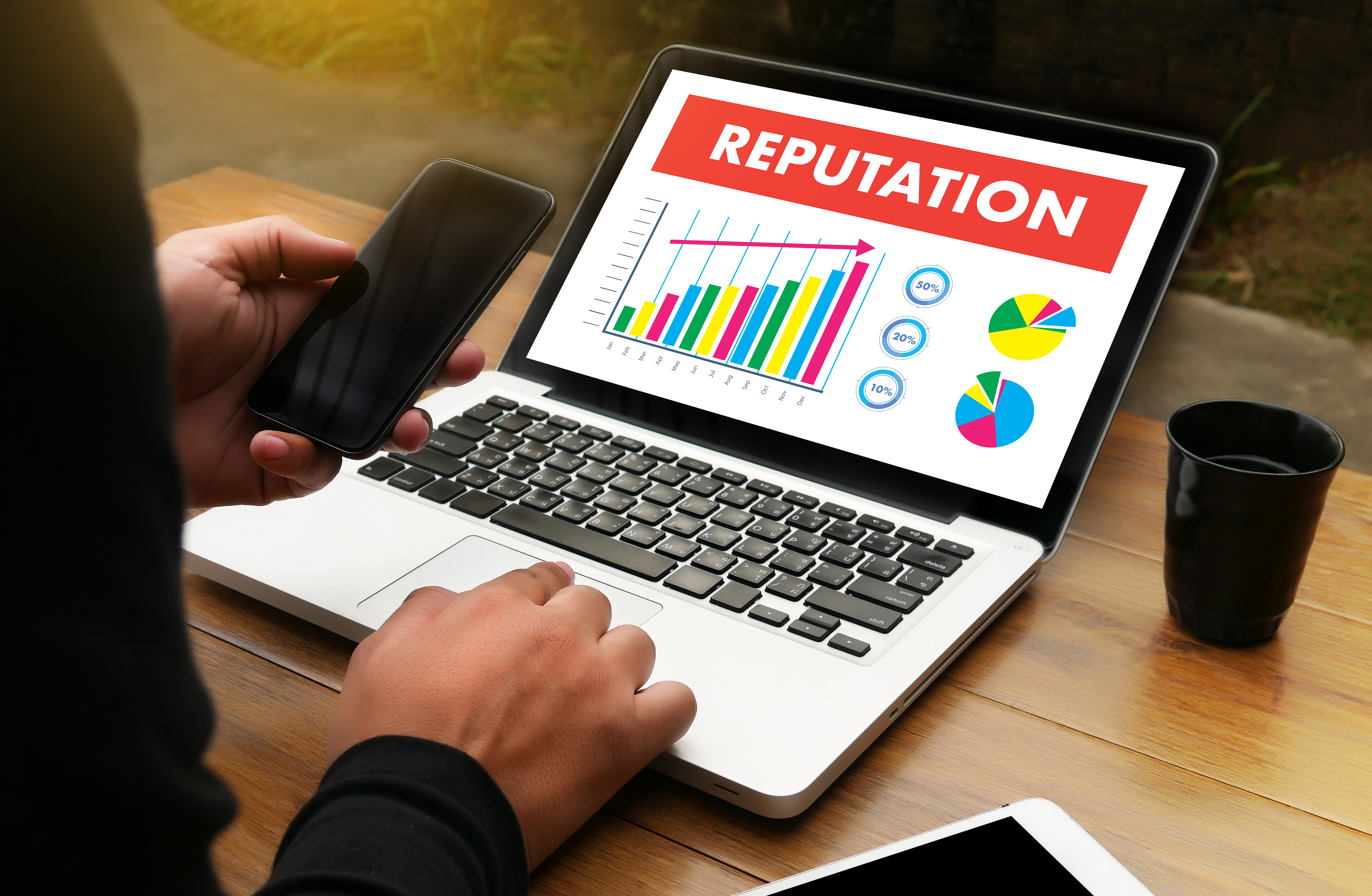 Laptop screen of the title reputation and graphs.